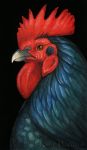  2015 ambiguous_gender avian beak bird blakc_background chicken feral galliform gallus_(genus) katie_hofgard phasianid solo traditional_media_(artwork) 