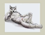  animal_genitalia anthro canid canine canis coypowers detailed domestic_dog fur heterochromia husky looking_at_viewer male mammal nordic_sled_dog nude penis penis_tip pose realistic seductive sheath simple_background solo spitz white_fur 