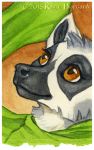  2015 black_nose brown_eyes fur headshot_portrait katie_hofgard lemur mammal portrait primate strepsirrhine traditional_media_(artwork) 
