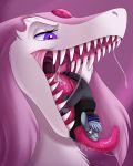  absurd_res anthro bodily_fluids clothed clothing digital_media_(artwork) duo feral fur hair hi_res hybrid icy_dooley_(character) kangabax kangaroo lombax macropod male mammal marsupial open_mouth ratchet_and_clank sergal simple_background sirkus-pandemonium size_difference smile teeth tongue video_games vore 