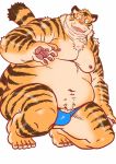  2019 anthro belly bulge clothing felid hi_res humanoid_hands kemono male mammal moobs navel nipples overweight overweight_male pantherine raozone simple_background solo tiger underwear white_background 