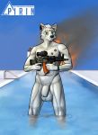  2019 animal_genitalia animal_penis anthro balls black_nose canid canine canine_penis digital_media_(artwork) flaccid fox fully_sheathed fur grey_body grey_fur gun hi_res holding_object holding_weapon male mammal muscular muscular_male outside penis pirin-apex platinum_fox pool_(disambiguation) ranged_weapon red_fox scar sheath solo vein veiny_balls water weapon 