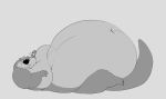  absurd_res belly heftyotter hi_res lutrine mammal moobs mustelid obese overweight slightly_chubby weights 