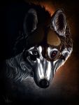  2011 ambiguous_gender black_nose brown_body brown_fur canid canine canis digital_media_(artwork) domestic_dog feral fur headshot_portrait hi_res husky mammal nordic_sled_dog portrait red_eyes solo spitz whiskers wolfroad 