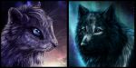  2011 black_body black_fur canid canine canis dawn_(disambiguation) detailed_background digital_media_(artwork) duo fur headshot_portrait mammal night outside portrait rodent sciurid sky star starry_sky whiskers wolf wolfroad 