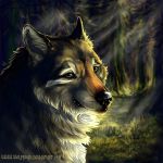  1:1 2011 absurd_res ambiguous_gender black_lips black_nose brown_body brown_fur canid canine canis day detailed_background digital_media_(artwork) feral forest fur grass green_eyes hi_res lips mammal outside smile solo tree wolf wolfroad 