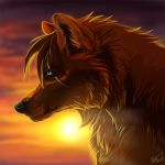  1:1 2011 black_nose blue_eyes canid canine canis day detailed_background digital_media_(artwork) feral fur hair headshot_portrait mammal outside portrait scar sky solo sun wolf wolfroad 