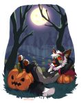  4_toes 5_fingers anthro canid canine detailed_background fingers fox grass hair halloween holidays jack-o&#039;-lantern kaitycuddle looking_at_viewer male mammal moon night orange_nose outside sky solo toes tree white_hair 