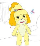  absurd_res animal_crossing anthro bedroom_eyes canid canine canis domestic_dog female half-closed_eyes hi_res isabelle_(animal_crossing) mammal nintendo pussy rey1119 seductive simple_background solo video_games 