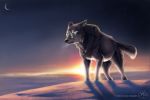  2010 ambiguous_gender black_nose blue_eyes canid canine canis dawn_(disambiguation) detailed_background digital_media_(artwork) dusk feral hi_res mammal moon outside solo wolf wolfroad 