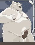  2016 anthro balls bathing belly bluewhale127 bodily_fluids cum erection fur genital_fluids hi_res humanoid_hands humanoid_penis male mammal moobs nipples overweight overweight_male penis polar_bear solo ursid ursine white_body white_fur 
