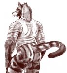  african_civet anthro balls bottomless butt civet clothed clothing hi_res long_tail looking_at_viewer male mammal muscular muscular_male rear_view shirt solo tank_top topwear viverrid zhaqez 