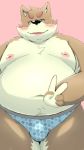  2019 anthro belly black_nose blush bulge canid canine canis clothing domestic_dog hi_res humanoid_hands male mammal menmen_kesinn moobs nipples overweight overweight_male pink_background simple_background solo teeth underwear 