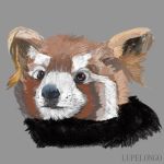  1:1 2019 ailurid ambiguous_gender digital_media_(artwork) feral fur headshot hi_res lupelongo mammal oil_pastel_(artwork) pastel_(artwork) red_panda simple_background solo traditional_media_(artwork) 