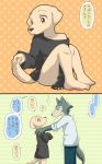  anthro beastars bird_dog bottomless canid canine canis clothed clothing domestic_dog hunting_dog jack_(beastars) japanese_text labrador legosi_(beastars) male mammal retriever smile sweater_only text translation_request walnut_(pixiv) wolf 