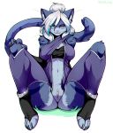  2019 5_fingers anthro biped blue_body blue_ears blue_fur blue_stripes blue_tail bottomless breasts claws clothed clothing digital_media_(artwork) domestic_cat felid feline felis female fingers fur grey_body grey_fur hair heterochromia hi_res legwear long_hair long_tail looking_at_viewer mammal multicolored_body multicolored_fur navel pink_nose purple_eyes pussy simple_background sitting smaller_version_at_source smile solo striped_body striped_fur striped_tail stripes toe_claws whiskers white_background white_hair zkelle 