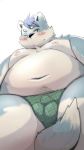  2019 anthro belly blue_body blue_fur bodily_fluids bulge canid canine canis clothing domestic_dog fur hi_res male mammal menmen_kesinn moobs navel nipples one_eye_closed overweight overweight_male simple_background solo sweat underwear white_background wink 