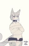 2019 3_fingers accessory anthro bare_shoulders blush bottomwear breasts choker clothed clothing countershading cutoffs daisy_dukes denim denim_clothing digital_media_(artwork) domestic_cat electrycpynk felid feline felis female fingers fur grey_body grey_eyes grey_fur grey_hair hair hair_accessory hairclip hi_res hotpants inner_ear_fluff jewelry mammal navel necklace open_mouth shorts signature skimpy solo spots standing sweater topwear white_countershading 