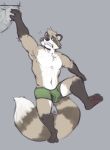  2019 anthro bulge clothing humanoid_hands male mammal minedoo navel procyonid raccoon simple_background solo underwear 