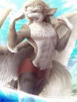  5_fingers anifansy anthro avian blue_eyes bulge canid canine canis clothing cloud digital_media_(artwork) domestic_dog feathered_wings feathers fingers fur grey_body grey_fur hair hi_res hybrid male mammal outside red_clothing roliga sky solo swimwear water white_body white_fur wings 