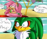  2014 accipitrid accipitriform amy_rose avian beach bird blood blue_eyes bodily_fluids eulipotyphlan female green_eyes hedgehog jet_the_hawk male mammal nosebleed renee-moonveil seaside sonic_(series) sonic_riders 