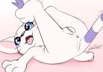  &lt;3 &lt;3_eyes ahegao anus black_nose blue_eyes bodily_fluids butt cute_fangs digimon digimon_(species) ejaculation female fur gatomon genital_fluids haiiromon legs_up looking_pleasured nipples orgasm pussy pussy_ejaculation pussy_juice shaking snout solo striped_tail stripes thin_tail tongue tongue_out trembling whiskers white_body white_fur 