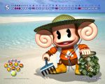  5:4 aiai anthro beach calendar haplorhine male mammal monkey official_art primate seaside sega super_monkey_ball unknown_artist video_games 