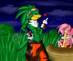  &lt;3 2014 accipitrid accipitriform amy_rose avian bird clothed clothing eulipotyphlan female hedgehog jet_the_hawk male mammal muscular navel renee-moonveil scar sonic_(series) sonic_riders topless 