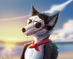  anthro bone border_collie canid canine canis collie domestic_dog eyewear herding_dog kuroi_ashi mammal pastoral_dog scarf sheepdog skull smile smoothie_(artist) solo sunglasses 