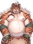  2019 absurd_res anal anal_penetration anthro bodily_fluids duo erection felid from_behind_(disambiguation) fur hi_res hombretigre human male mammal muscular muscular_male navel nipples pantherine pecs penetration penis raytig12 sex striped_body striped_fur stripes sweat tiger tokyo_afterschool_summoners video_games 