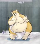  anthro belly big_belly blush bodily_fluids canid canine canis catarsi chubby_cheeks claws domestic_dog flying_sweatdrops fur herding_dog hi_res holding_object holding_towel inside male mammal moobs navel nude obese obese_male open_mouth overweight overweight_male pastoral_dog shower solo standing sweat sweatdrop tan_body tan_fur thick_thighs toe_claws towel towel_only welsh_corgi wide_hips 