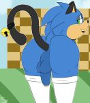  anus balls bell blush buttplug cat_ears_(disambiguation) clothed clothing collar crossdressing from_behind_(disambiguation) gloves handwear hi_res humanoid_penis legwear male penis sex_toy sketchy_yvun sketchyyvun sonic_(series) sonic_the_hedgehog stockings 