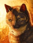  2016 ambiguous_gender day detailed_background digital_media_(artwork) domestic_cat felid feline felis feral katie_hofgard mammal outside solo whiskers yellow_eyes 