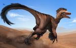  2018 3_toes blue_eyes brown_body brown_feathers day desert detailed_background digital_media_(artwork) dinosaur dromaeosaurid feathered_wings feathers hi_res k-dromka open_mouth outside reptile sand scalie sky teeth theropod toes tongue wings 