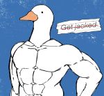  anatid anseriform anserinae anthro avian barazoku bill bird goose goose_(untitled_goose_game) hi_res humor joke male muscular paper salamikii solo untitled_goose_game 