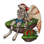  1:1 2017 4_toes 5_fingers anthro barefoot canid canine canis digital_media_(artwork) digitigrade feathered_wings feathers fingers fur hair katie_hofgard male mammal red_hair simple_background sitting solo striped_body striped_fur stripes toes white_background white_body white_fur wings wolf 