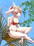  alternate_hairstyle animal_ears barefoot bikini breasts burmecian cleavage covered_nipples eyelashes final_fantasy final_fantasy_ix freija_crescent furry kemuri-kiyoshi large_breasts ponytail rat_tail red_bikini scrunchie side-tie_bikini solo swimsuit tail unmoving_pattern white_hair 