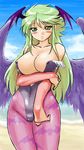  blush breasts breath_of_fire breath_of_fire_ii capcom cleavage cosplay darkstalkers hips large_breasts lowres morrigan_aensland morrigan_aensland_(cosplay) nina_(breath_of_fire_ii) nipples vampire_(game) wide_hips wings 