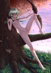  adsouto areolae arrow artist_name black_bow bow breasts elf goblin_slayer! green_eyes green_hair high_elf_archer_(goblin_slayer!) highres holding in_tree licking licking_weapon long_hair looking_at_viewer nipples no_shoes nude outdoors pointy_ears pussy sidelocks sitting sitting_in_tree small_breasts source_request spread_legs tree very_long_hair 
