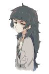  1girl black_hair breasts closed_mouth commentary_request highres hiyajou_maho kotoyama long_hair looking_at_viewer messy_hair simple_background small_breasts solo steins;gate white_background 
