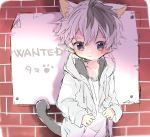  1boy animal_ears black_hair blush cat_ears cat_tail catboy hair_between_eyes looking_at_viewer male_focus multicolored_hair original purple_eyes silver_hair solo suisei7 tail two-tone_hair 