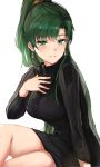  1girl bangs black_sweater blush breasts closed_mouth dress earrings eyebrows_visible_through_hair fire_emblem fire_emblem:_the_blazing_blade green_eyes green_hair hand_on_own_chest hand_up highres jewelry lips long_hair long_sleeves looking_at_viewer lyn_(fire_emblem) medium_breasts ormille ponytail shiny shiny_hair shiny_skin simple_background sitting solo sweater sweater_dress tied_hair turtleneck white_background 