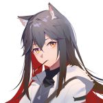  1girl animal_ear_fluff animal_ears arknights bangs black_hair black_shirt brown_hair cat_ears eyebrows_behind_hair food food_in_mouth hair_between_eyes heart heart_necklace highres hood hood_down hooded_jacket hua_ye jacket long_hair looking_at_viewer mouth_hold multicolored_hair open_clothes open_jacket orange_hair parted_lips pocky red_hair shirt simple_background solo texas_(arknights) two-tone_hair upper_body white_background white_jacket 
