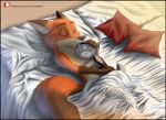  3_toes anthro bed bedding blanket canid canine detailed_background dipstick_ears dipstick_tail disney duo female fox fur furniture gloves_(marking) grey_body grey_fur inner_ear_fluff judy_hopps lagomorph leporid link6432 male mammal markings multicolored_body multicolored_ears multicolored_fur multicolored_tail nick_wilde orange_body orange_fur patreon pillow rabbit sleeping smile toes tuft two_tone_body two_tone_fur zootopia 