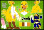 absurd_res anthro avian balls beak big_penis biped bird breath_of_the_wild digitigrade fan_character feather_hands feathers genitals gerudo_outfit height hi_res humanoid_genitalia humanoid_penis male muscular muscular_male nintendo okesh_the_dancer orange_eyes penis reezard rito solo standing tall text the_legend_of_zelda yellow_body