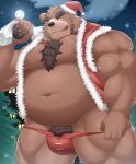 2023 absurd_res anthro barely_visible_genitalia barely_visible_penis bear belly brown_body bulge christmas christmas_clothing christmas_headwear clothing detailed_background genitals hat headgear headwear hi_res holidays kemono male mammal moobs moon navel night nipples nisikemo outside overweight overweight_male penis plant pubes santa_hat solo tree underwear