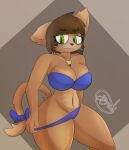 2023 accessory anthro big_breasts blue_bra blue_clothing blue_panties blue_underwear bow_accessory bow_ribbon bra breasts brown_body brown_fur brown_hair clothed clothing digital_media_(artwork) domestic_cat felid feline felis female fetid fur furgonomics gazaster green_eyes hair hi_res jewelry lgbt_pride looking_at_viewer mammal nacho_(gazaster) navel necklace nonbinary_(lore) nonbinary_pride_colors panties partially_clothed pride_colors pulling_clothing ribbons short_hair signature simple_background skindentation smile solo standing tail tail_accessory tail_bow tail_ribbon thick_thighs tired_eyes underwear underwear_down wide_hips