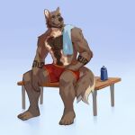 1:1 anthro arm_markings arm_tuft beard blue_eyes body_hair brown_beard brown_body brown_fur bulge canid chest_hair clothed clothing corzh77 elbow_tuft facial_hair fur happy_trail head_tuft hi_res male mammal markings mouth_closed shoulder_tuft sitting solo tan_body tan_fur topless towel_on_shoulder tuft