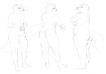 2022 anthro belly breasts butt canid canine canis cettus crossed_arms crotch_tuft featureless_crotch female front_view hands_together hi_res mammal nipples nude overweight overweight_anthro overweight_female rear_view sequence side_boob side_view sketch slightly_chubby slightly_chubby_anthro slightly_chubby_female solo standing tail tuft weight_gain wolf