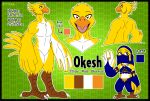 absurd_res anthro avian beak biped bird breath_of_the_wild character_name digitigrade fan_character feather_hands feathers gerudo_outfit height hi_res male model_sheet muscular muscular_male nintendo okesh_the_dancer orange_eyes reezard rito solo standing tall text the_legend_of_zelda yellow_body